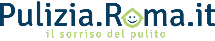 Pulizia Roma logo1